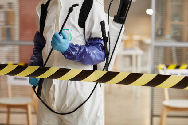 Professional Odor Removal technician working in Clermont, IN